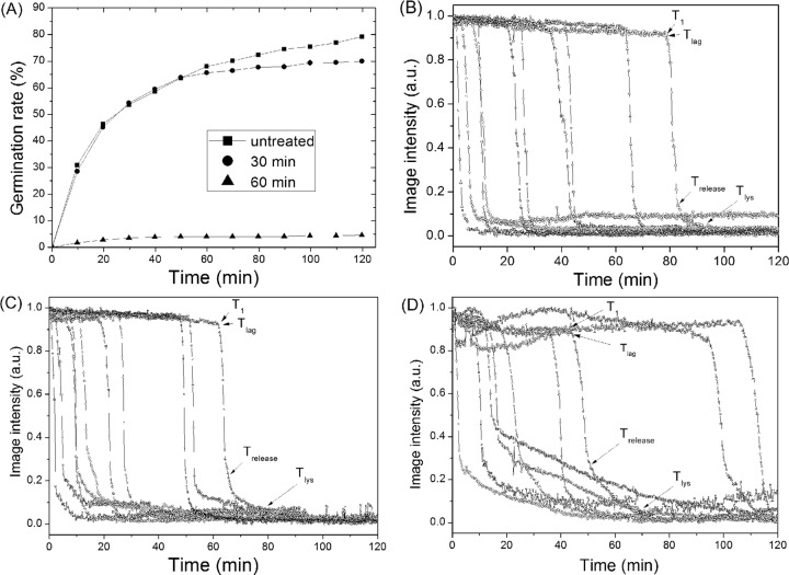 FIG 6