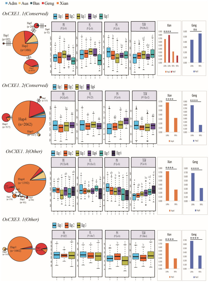 Figure 10