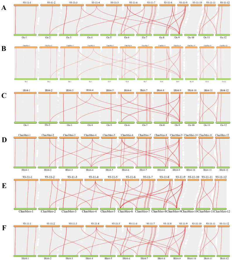 Figure 2