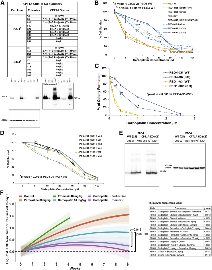 Figure 6