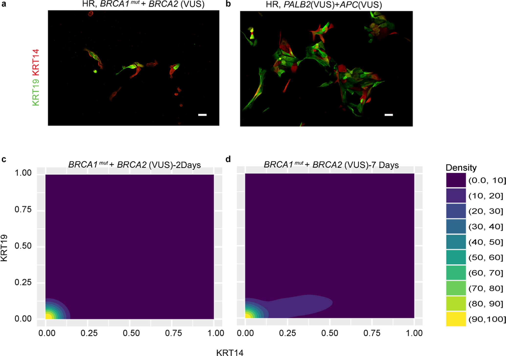 Extended Data Fig. 4 |