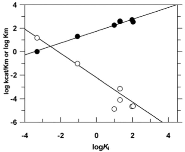 Figure 23