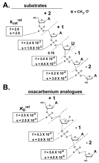 Figure 22