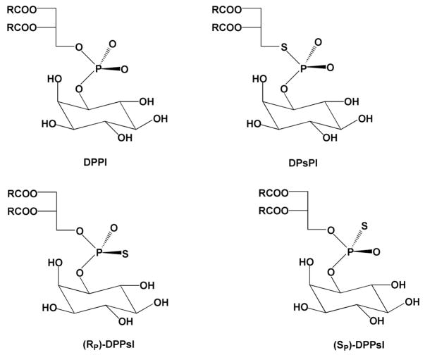 Figure 26