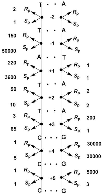 Figure 19