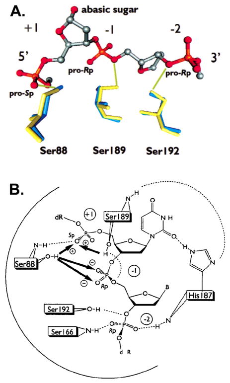 Figure 21