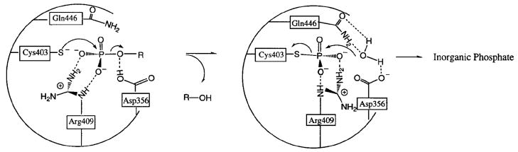 Figure 27