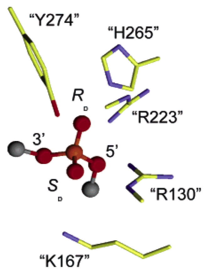 Figure 15