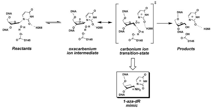 Figure 20