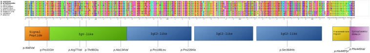 FIGURE 4