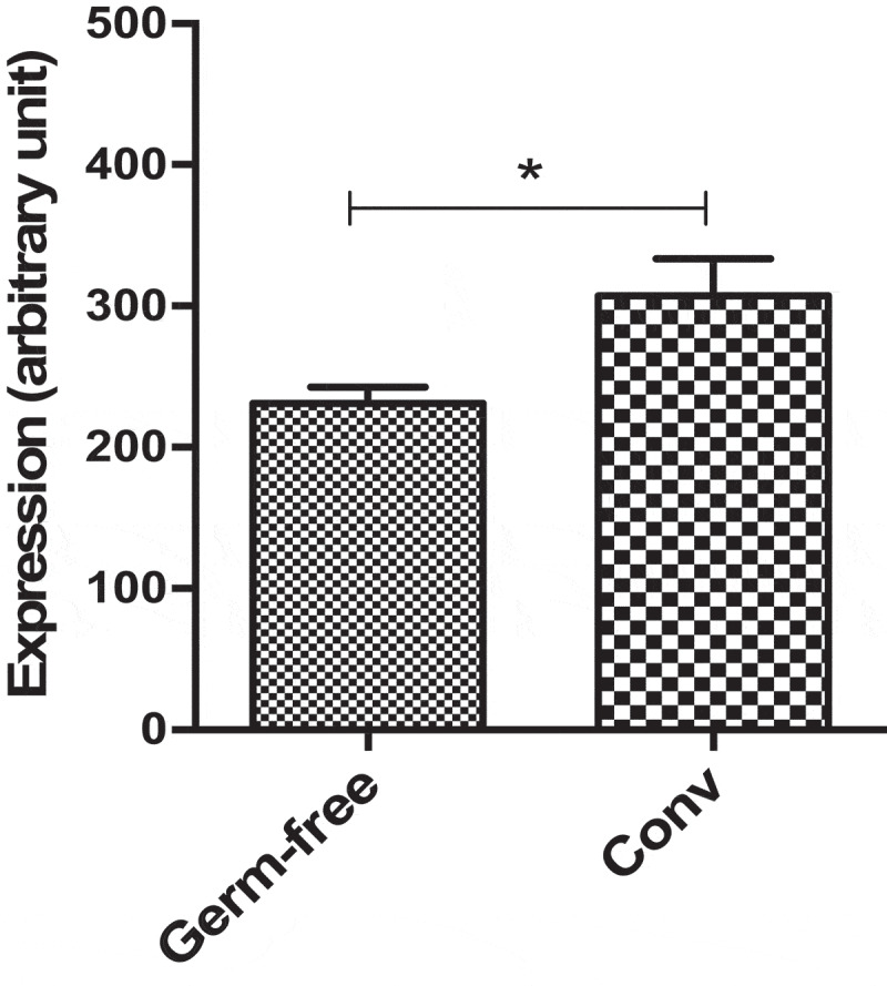 Figure 7.