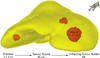 Fig. 3