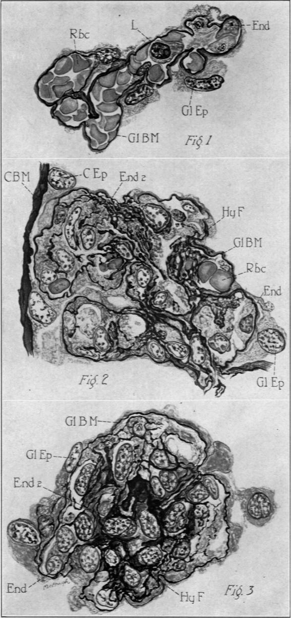 Plate 105