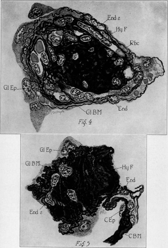 Plate 106