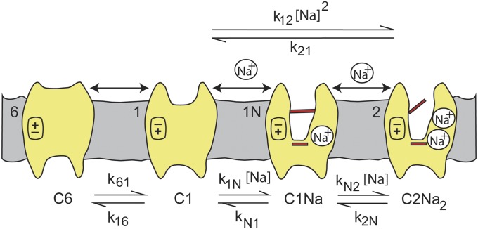 Fig. 1.