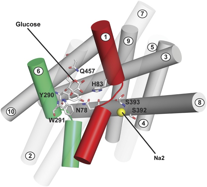 Fig. 2.