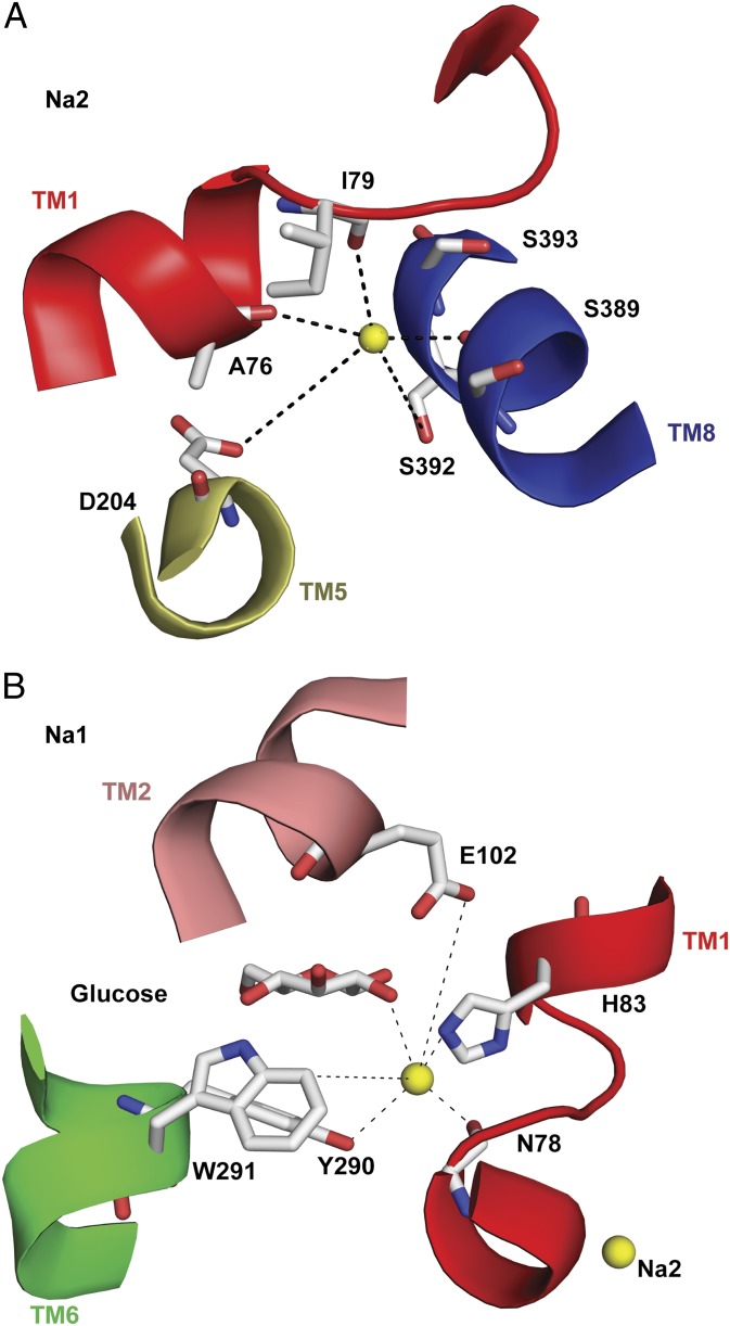 Fig. 8.