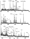 Fig. 3.