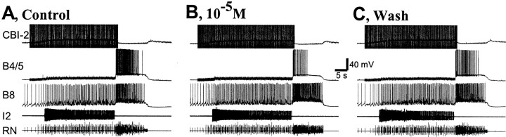 Fig. 13.