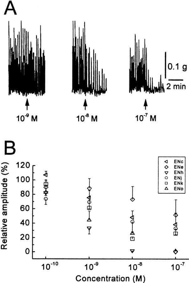 Fig. 12.