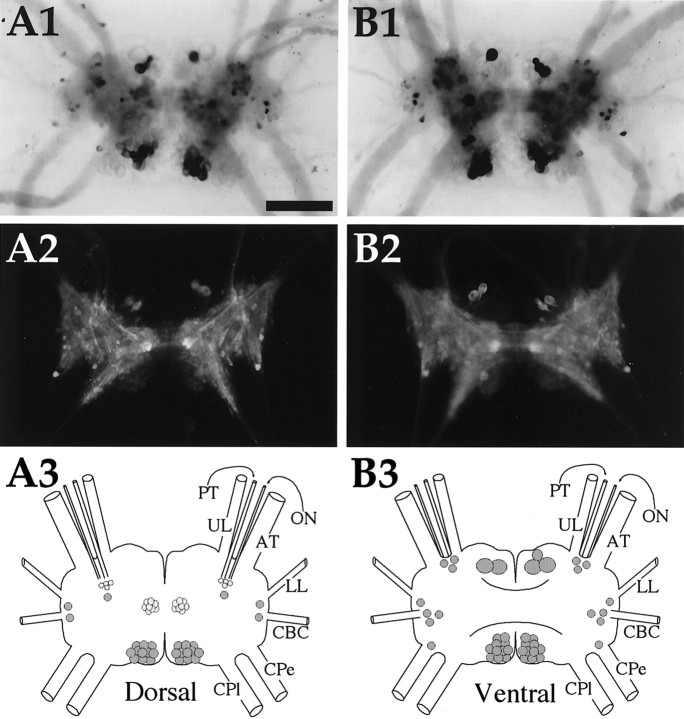 Fig. 8.