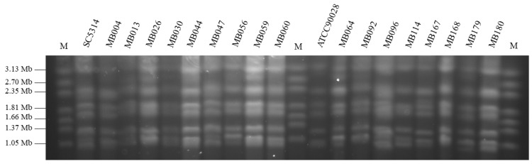 Figure 2