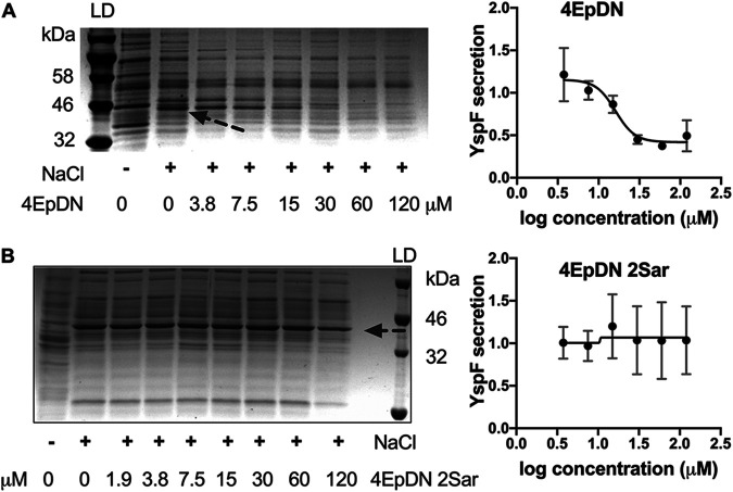 FIG 4