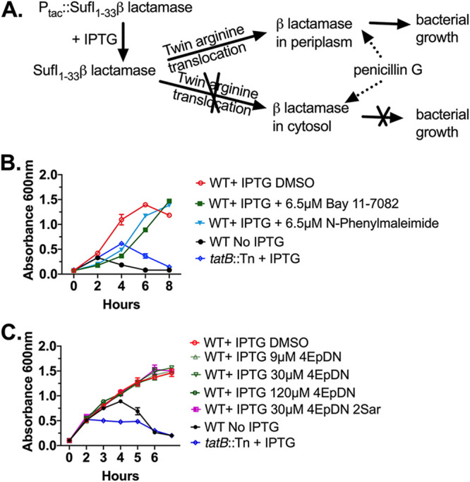 FIG 3