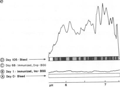 graphic file with name pnas00138-0236-e.jpg