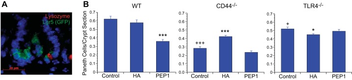 Fig. 11.