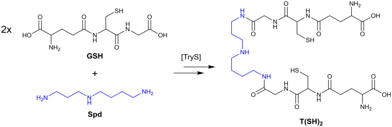 Fig 2