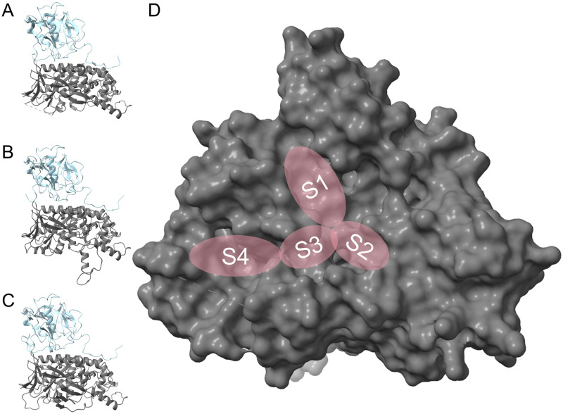 Fig 5