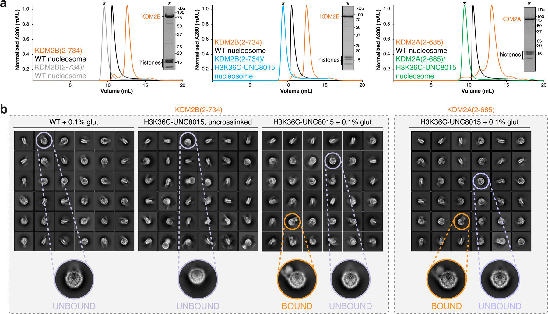 Extended Data Fig. 3 |