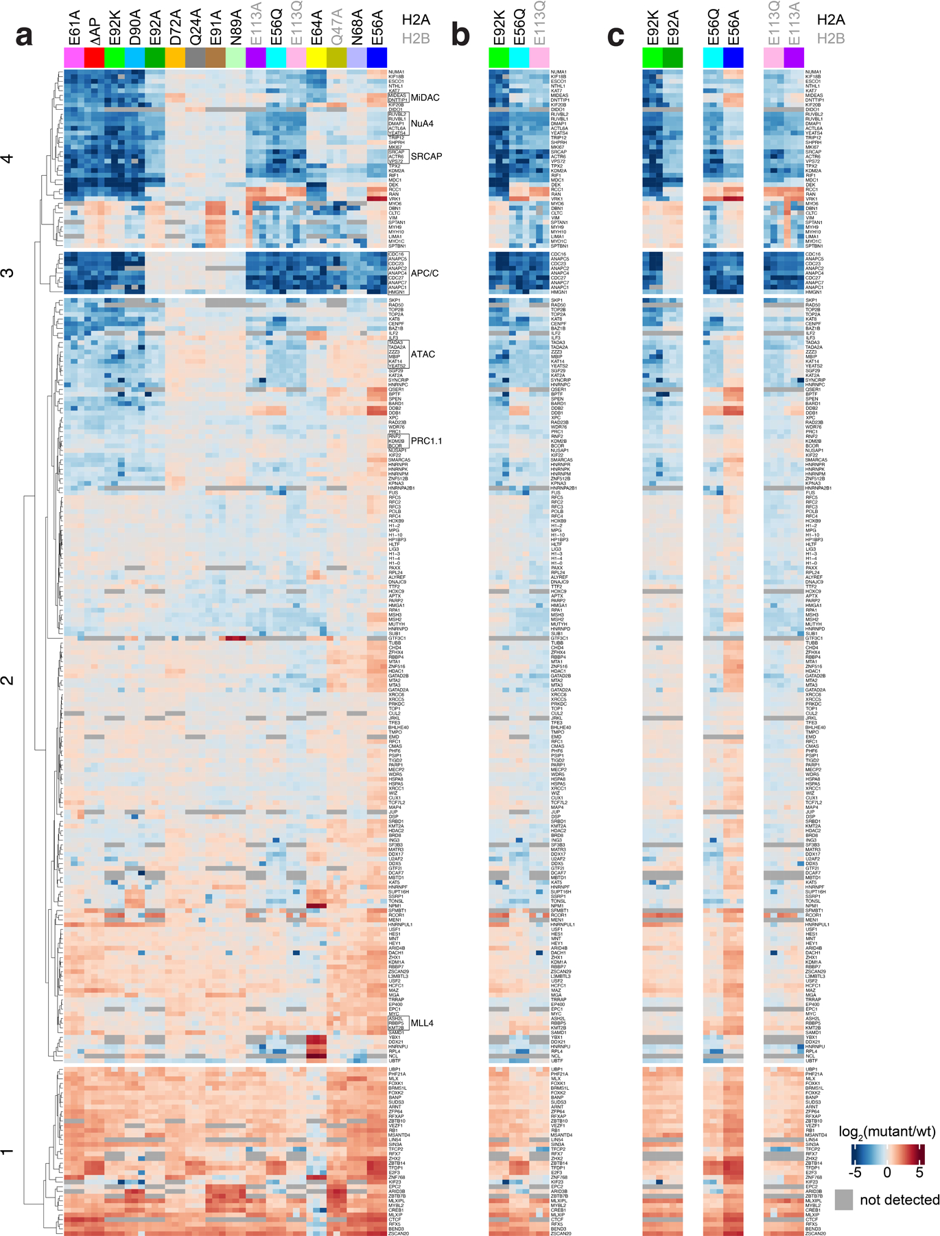 Extended Data Fig. 2 |