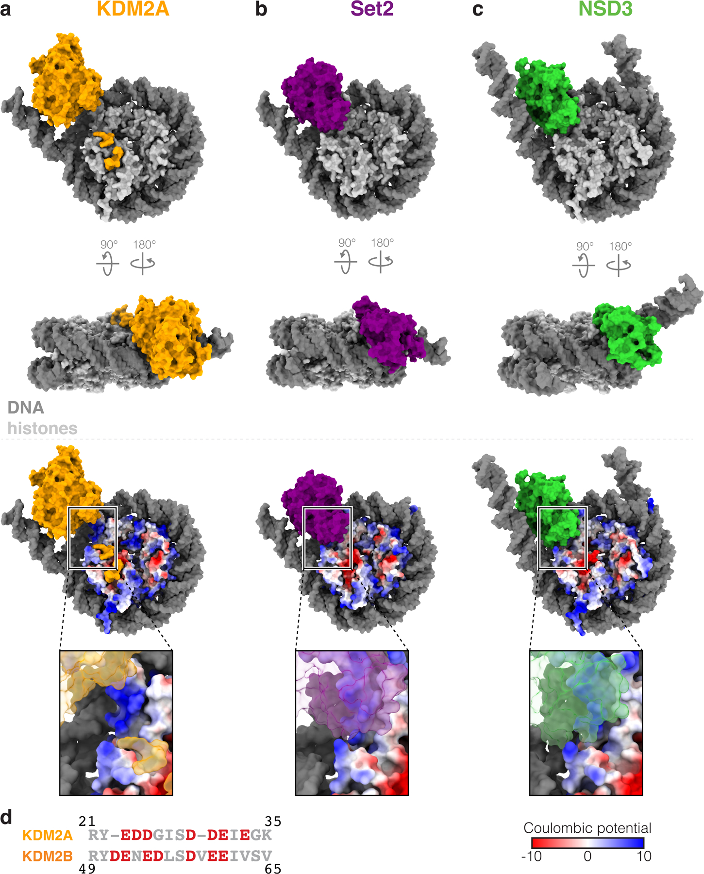 Extended Data Fig. 10 |