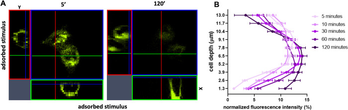 Fig 3