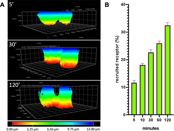 Fig 4