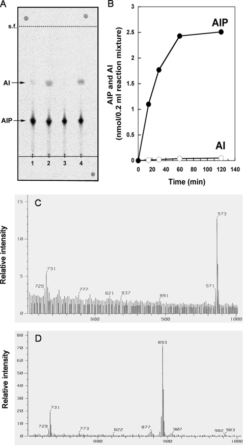 FIGURE 3.