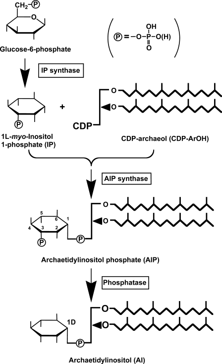 FIGURE 1.