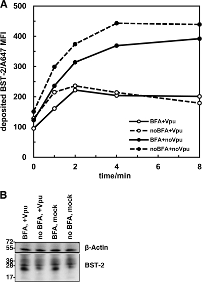 Fig. 10.