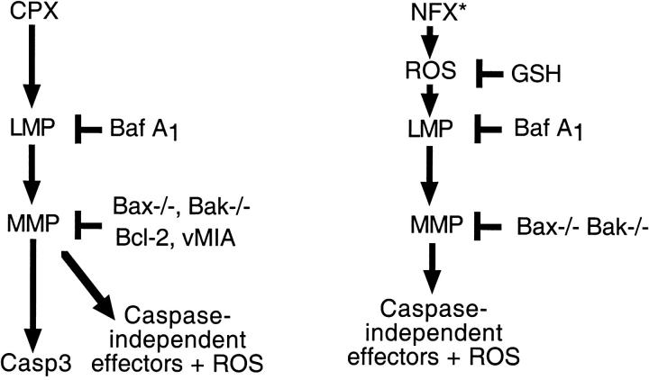 Figure 10.