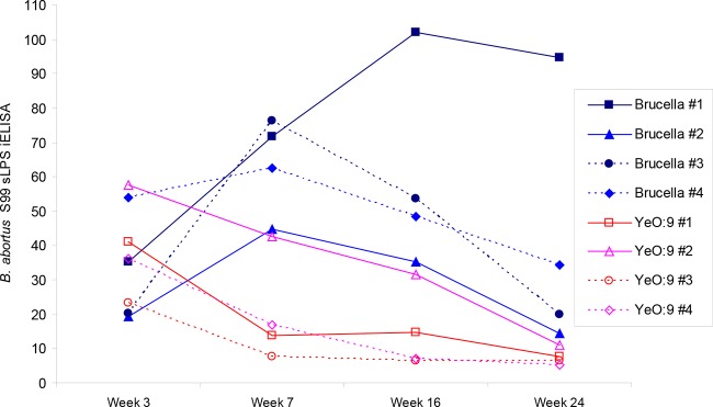 FIG 2