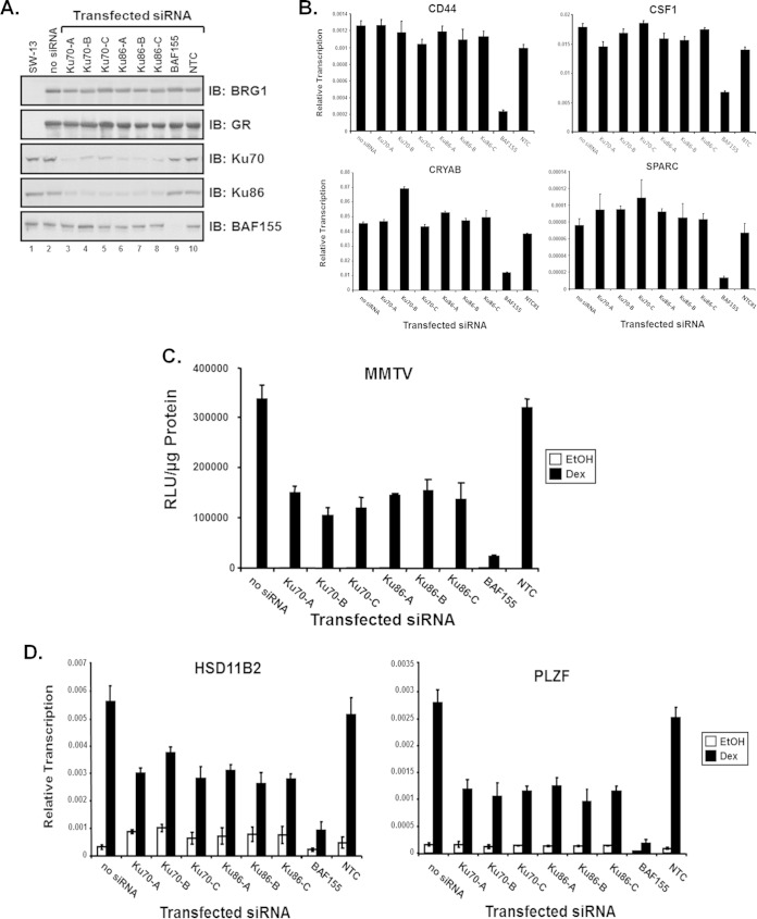 FIG 3