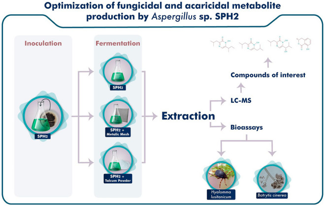 graphic file with name 40643_2024_745_Figa_HTML.jpg