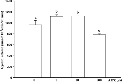 Fig. 2