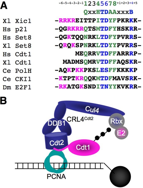 FIGURE 1.