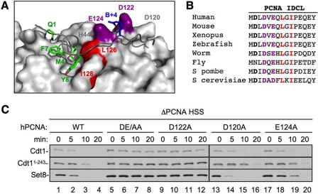 FIGURE 4.