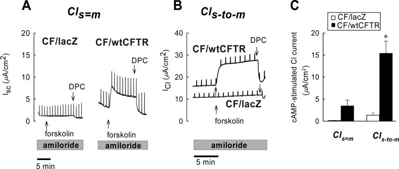 Fig. 7