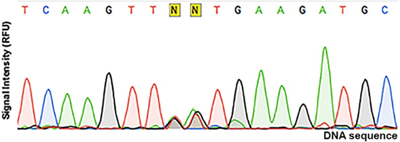 Fig 3