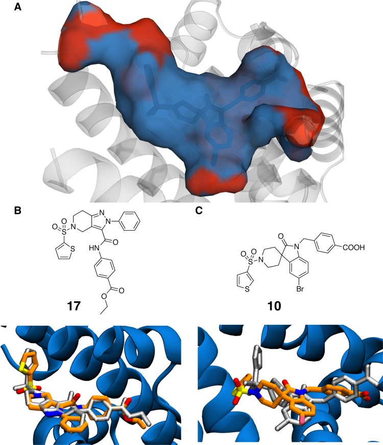 Fig. 2